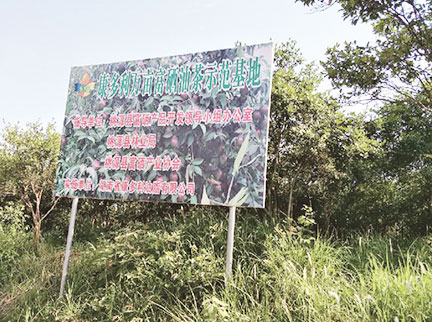 J9集团直营·(中国)官方网站