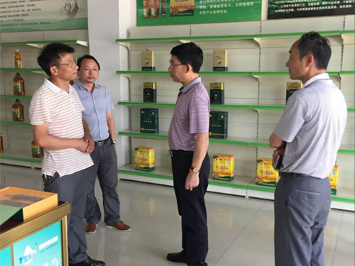 J9集团直营,油茶种植出产加工销售,植物油种植出产加工销售