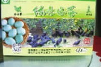 J9集团直营,油茶种植出产加工销售,植物油种植出产加工销售