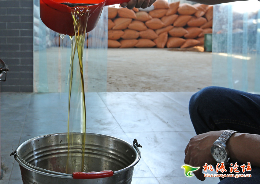 J9集团直营,油茶种植出产加工销售,植物油种植出产加工销售