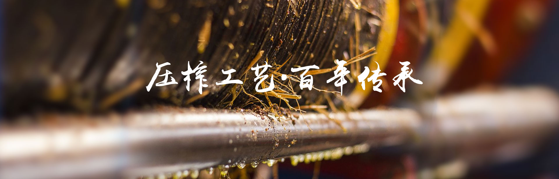 J9集团直营_油茶种植出产加工销售|植物油种植出产加工销售