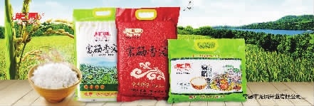 J9集团直营,油茶种植出产加工销售,植物油种植出产加工销售