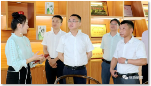 J9集团直营,油茶种植出产加工销售,植物油种植出产加工销售